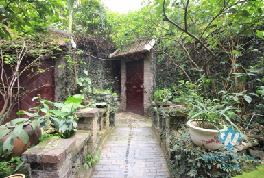 A unique villa with a luscious garden and swimming pool for rent in Tay Ho